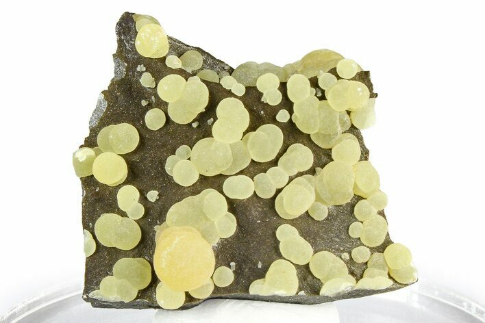 Globular Yellow Calcite Formations on Basalt - Italy #368867